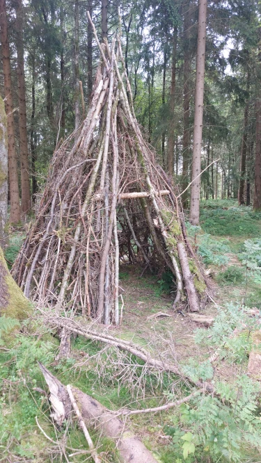 Fachklinik Psychosomatik Dr. Barner, Harz. Ergotherapie Wald.