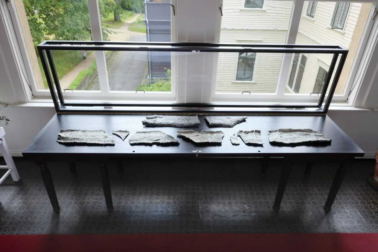 Stiftung Sanatorium Dr. Barner - Ausstellung - Lindy Annis: Borkenkäferwald, 2021 Stiftung Sanatorium Dr. Barner - Ausstellung - Lindy Annis: Borkenkäferwald, 2021