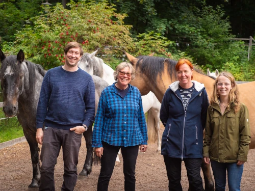Team Fachklinik Psychosomatik Dr. Barner, Harz. Tiergestützte Therapie, Pferde.